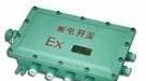 BXJ系列防爆接线箱