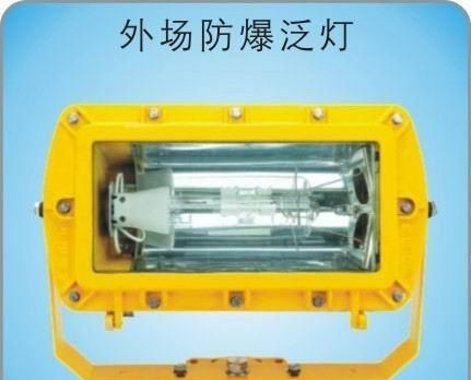 ZB6203外场防爆泛光灯