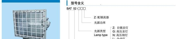 BAT53系列防爆泛光灯
