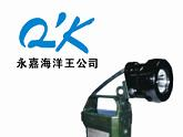 供应便携式免维护强光防爆工作灯 IW5120