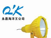 供应防爆投光灯 BTC8210