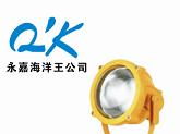 供应防爆投光灯 BTC8200