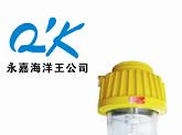 供应防爆平台灯 BPC8730