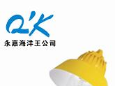 供应防爆平台灯 BPC8700
