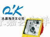 供应防爆泛光灯 BFC8110