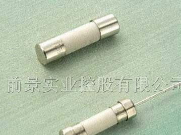 供应61SG,50EF,51FG,50ES,51SG呈乙保险丝(SLEEK)