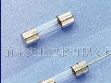 供应50FG,60FG,61FG,50SG,60SG呈乙保险丝(SLEEK)