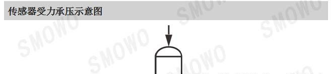 轮辐式称重传感器/测力传感器(LCS-C2)