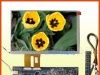 7.0寸LCD液晶显示屏、LCD液晶显示器
