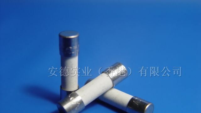 供应0215010MXP陶瓷管保险丝