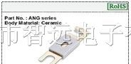 供应汽车保险丝ANG/35-100