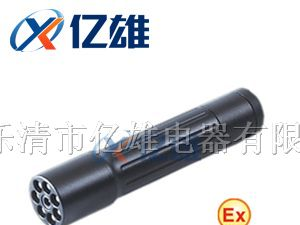 供应低碳，环保，JW7300微型防爆电筒，防爆电筒价格
