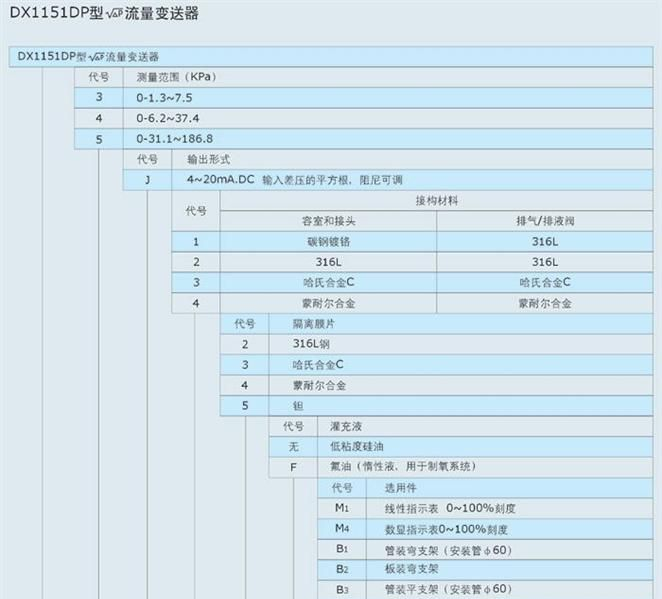 DX1151DP型流量变送器