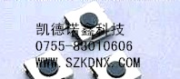 供应DTS-21台湾DIP开关直插型轻触开关