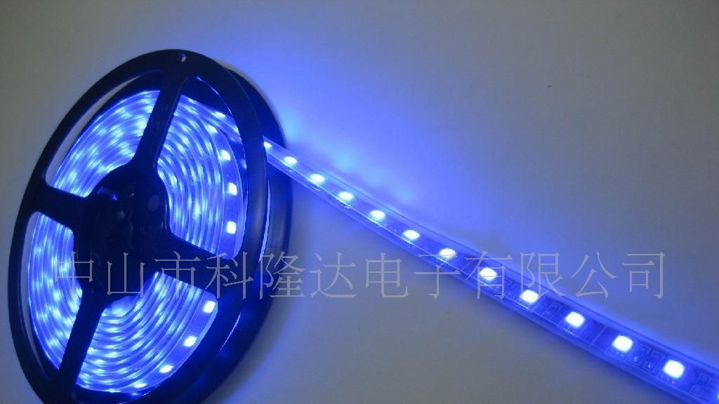 供应led软灯条 导光板led灯条 led灯条胶