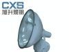 CZT6902防水防尘防震投光灯