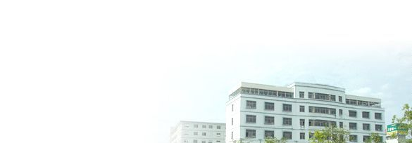 供应称重传感器 测力称重传感器