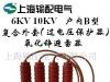 供应6KV、10KV（过电压保护器）氧化锌避雷器(图)