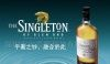 供应EL发光片、发光广告、广告片