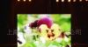 供应LED电子显示屏LED电子大屏幕