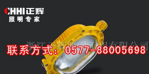 供应BYC6120-L 防爆大功率LED泛光灯