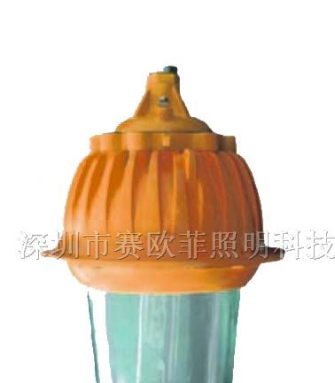 供应防爆投光灯、防爆泛光灯、防爆应急灯等