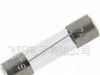 供应单体玻璃保险丝3。15A/250V