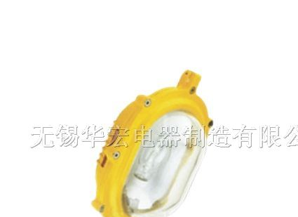 LED防爆灯具 BYC6120防爆泛光灯