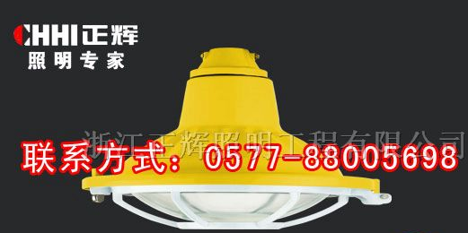 供应正辉防爆灯具-粉尘防爆灯 防爆顶灯 防爆荧光灯