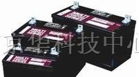 上海大力神蓄电池 大力神电池价格 大力神蓄电池