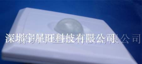 供应二线带节能灯人体红外感应开关