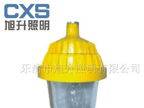 供应CBPC8720防爆平台灯，防爆灯，道路灯，平台灯