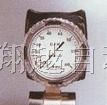 供应美国RCM流量计