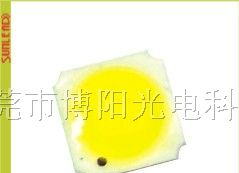 供应 5050 LED 灯珠
