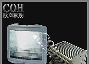 欧辉NSE9720 防眩应急通路灯 又名应急通路灯