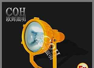 江苏BTC8210 防爆投光灯 250W防爆投光灯厂家