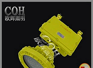 欧辉BFE8184_LED防爆应急投光灯_LED防爆投光灯批发