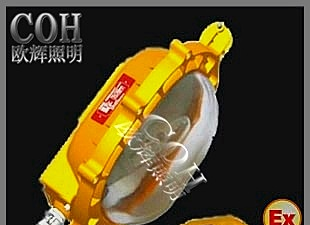 常州BFE8120 内场防爆应急灯，防爆应急灯厂家