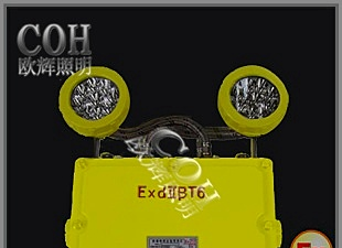 常州BFC8185_LED双头防爆应急灯，LED防爆应急灯批发