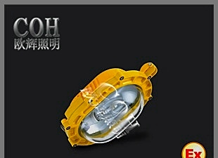 欧辉BFC8120 内场防爆泛光灯_内场防爆灯