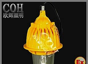 欧辉BFC8130_内场防爆灯_内场防爆泛光灯厂家