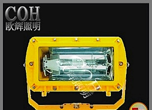 欧辉BFC8100 外场防爆泛光灯批发