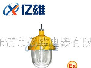 供应BPC8720｛防爆平台灯｝《BPC8720防爆平台灯》