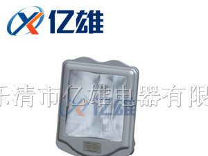 供应NSC9700防眩通路灯，NSC9700【通路灯NSC9700】