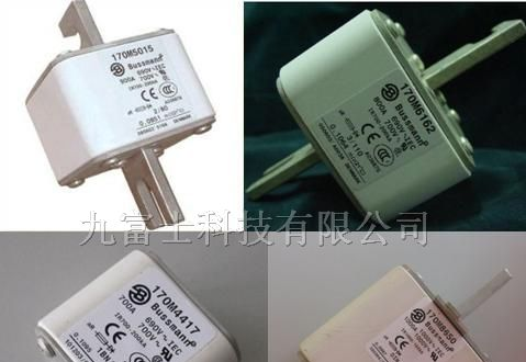 供应快速熔断器170M5013，170M5015,170M5812
