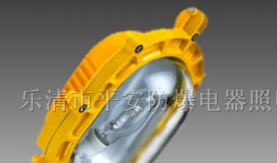 BFC8120/BYC6120防爆泛光灯，泛光灯
