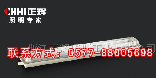 供应粉尘防爆防腐双管荧光灯-粉尘防爆灯-防爆荧光灯