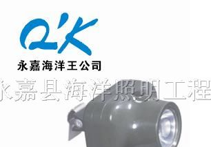 固态强光防爆头灯IW5110B防爆头灯，强光头灯