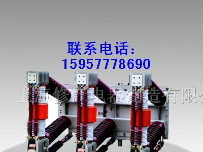 供应ZN12-12 ZN12-10 ZN12-40.5高压真空断路器