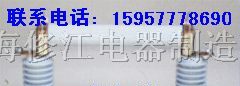供应RN1-12 RN2-12熔管-高压熔断器